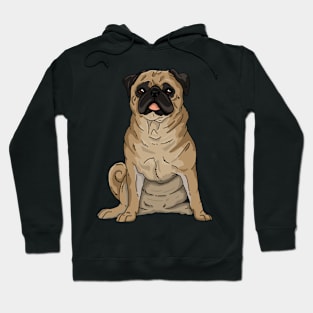 Pug dog Hoodie